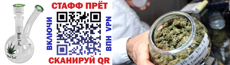 Где купить наркотики Курчатов NBOMe  Псилоцибиновые грибы  Марихуана  Мефедрон  Alpha PVP  Кокаин 